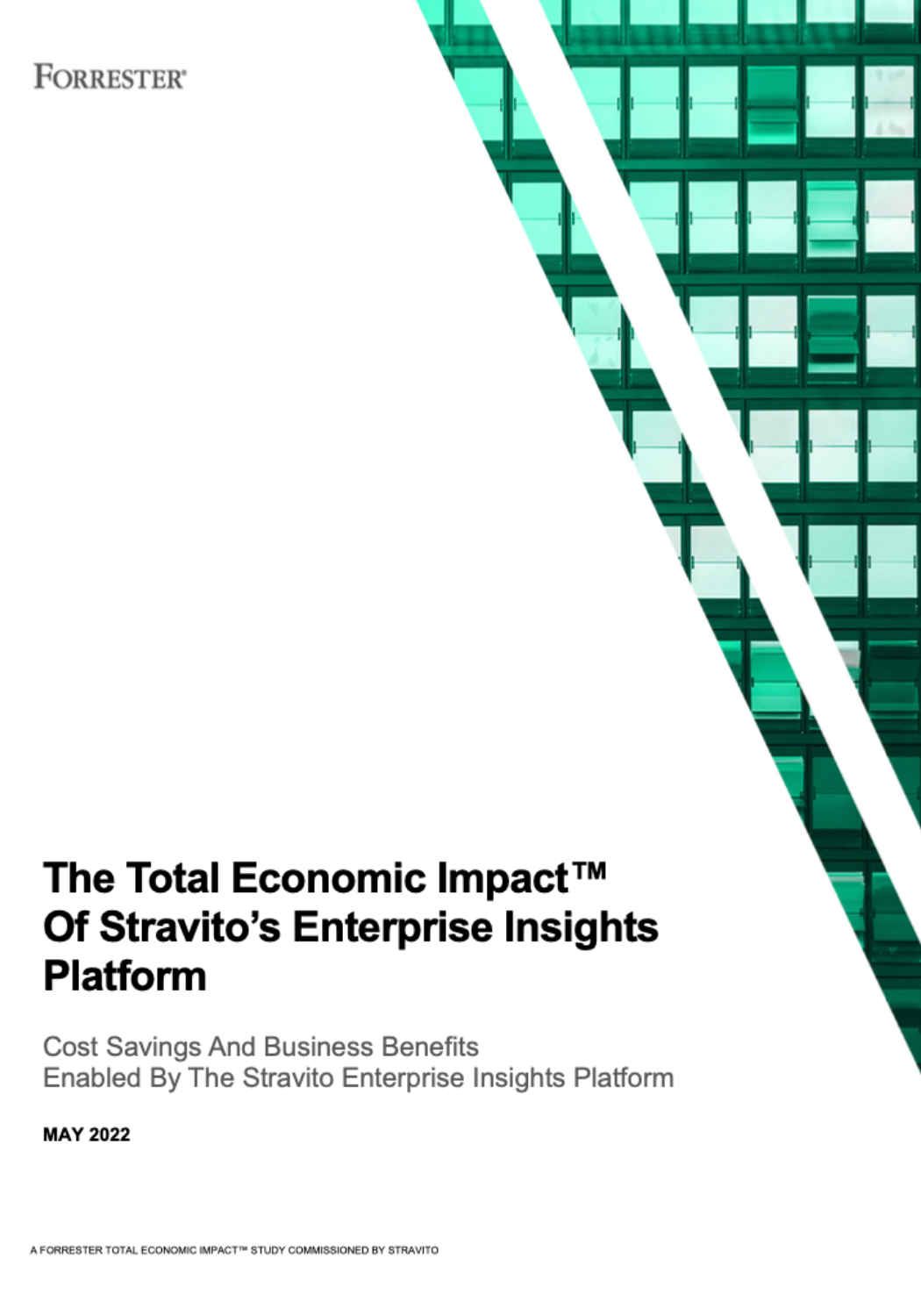 TEI of Stravitos Enterprise Insights Platform