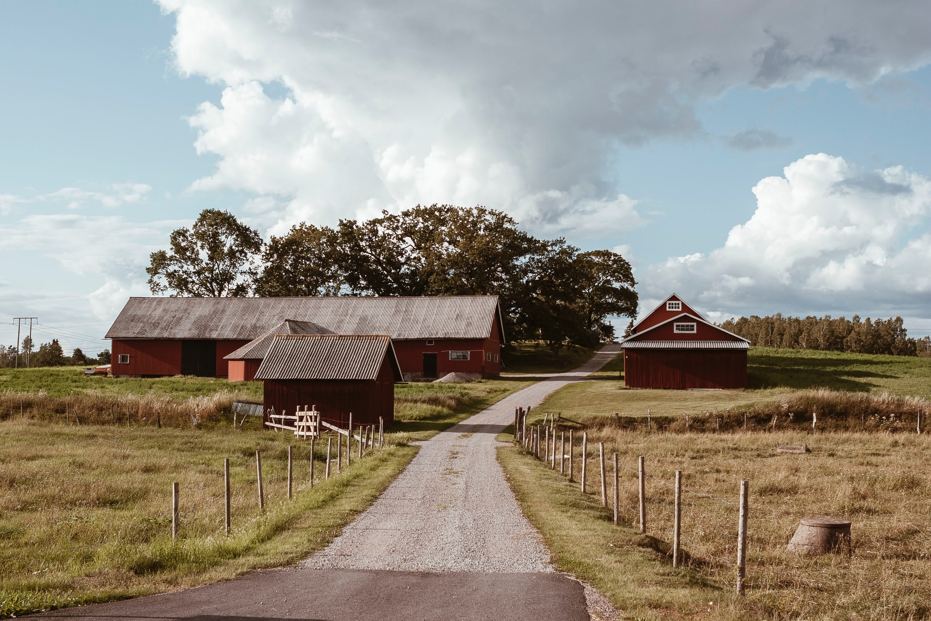 a road near a farm in the Swedish countryside