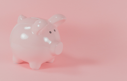 A pink piggy bank 